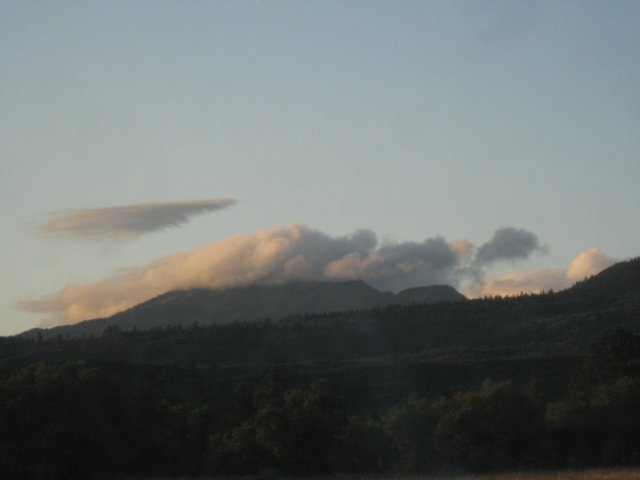 img_7737.jpg
