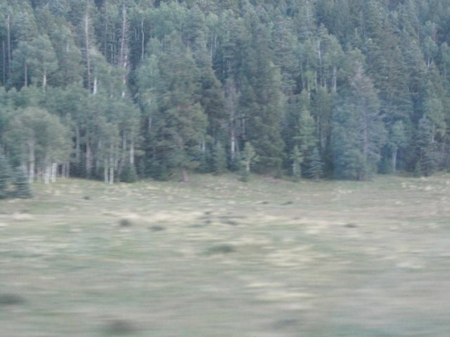 img_7741.jpg