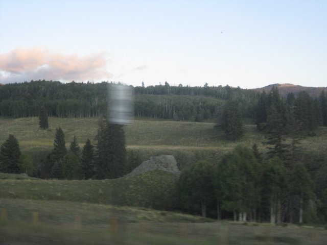 img_7743.jpg