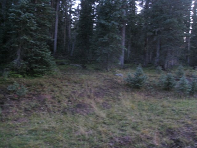 img_7757.jpg