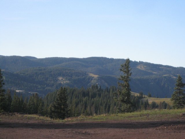 img_7761.jpg