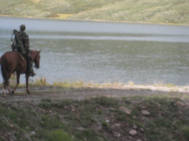 img_7780.jpg