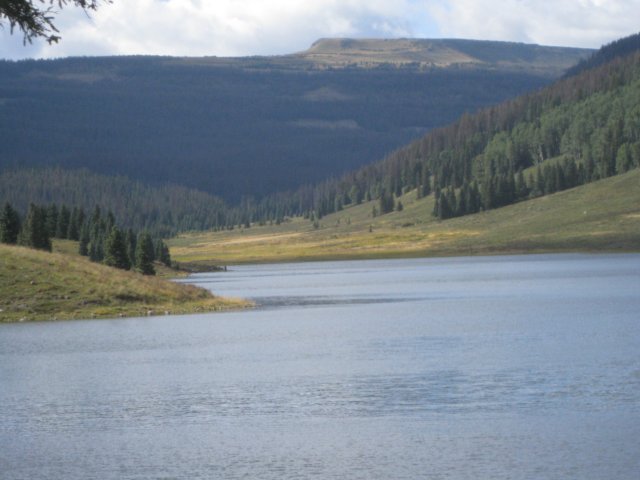 img_7781.jpg