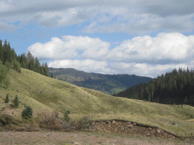 img_7785.jpg
