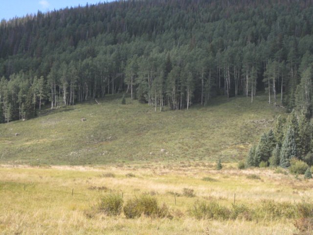 img_7795.jpg
