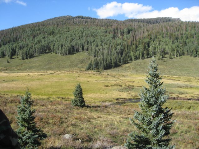 img_7800.jpg