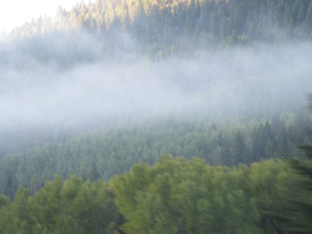 img_7822.jpg