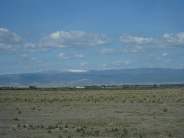 img_7826.jpg