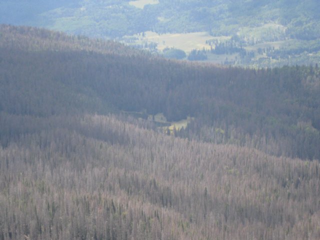 img_7850.jpg