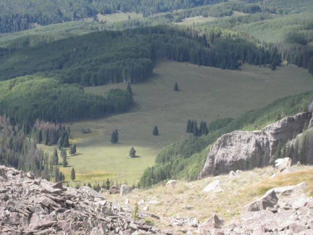 img_7856.jpg