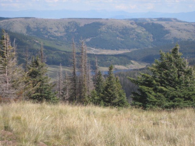 img_7857.jpg
