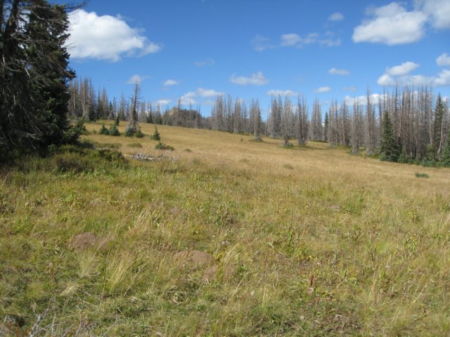 img_7859.jpg