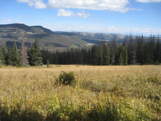 img_7860.jpg