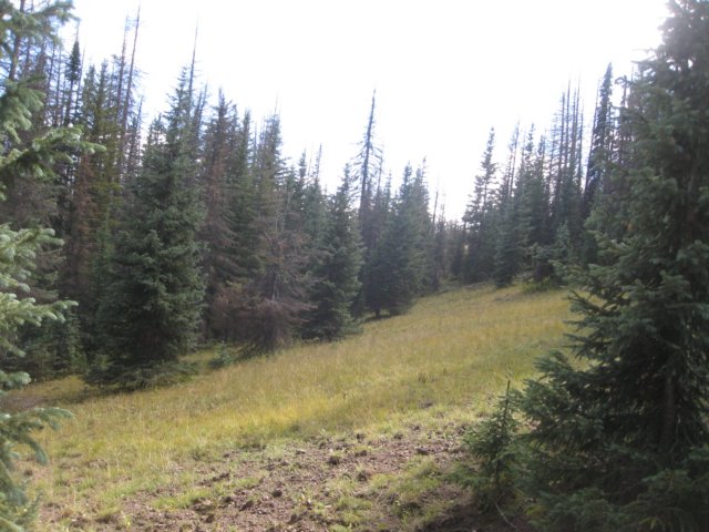 img_7863.jpg