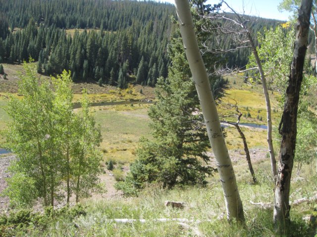 img_7871.jpg