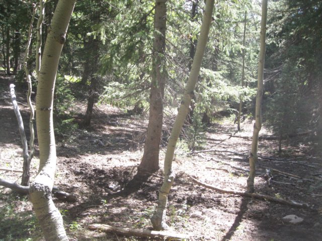 img_7872.jpg