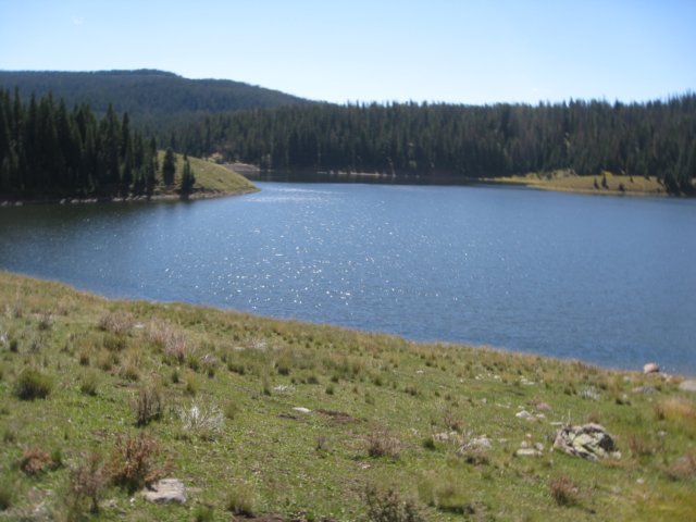 img_7874.jpg