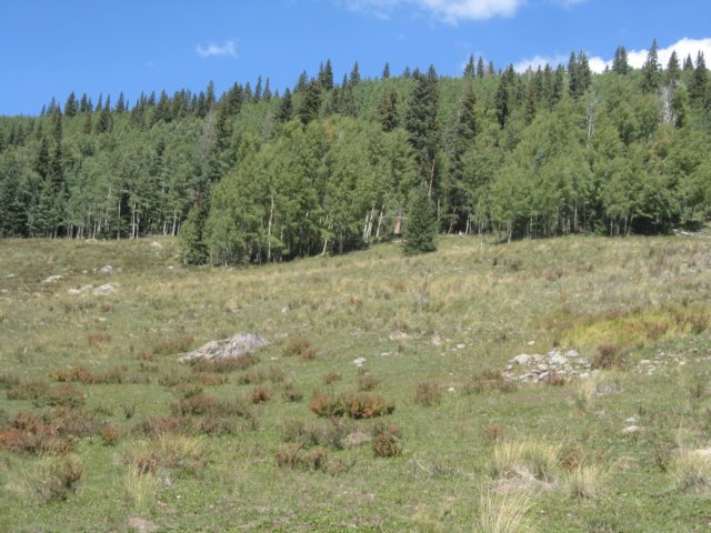 img_7875.jpg