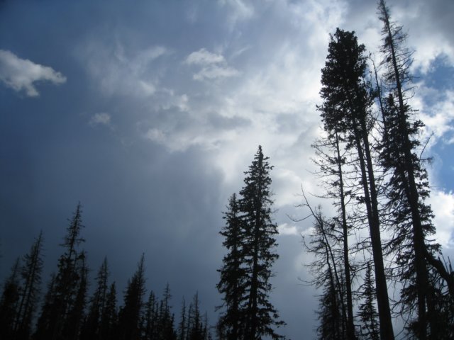 img_7877.jpg