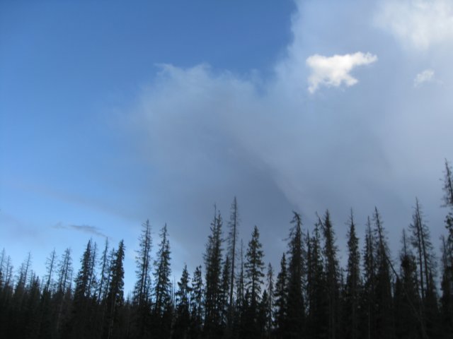 img_7879.jpg