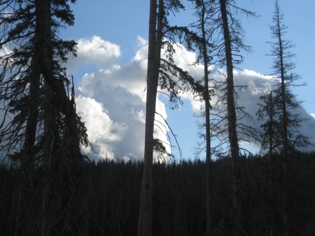 img_7886.jpg