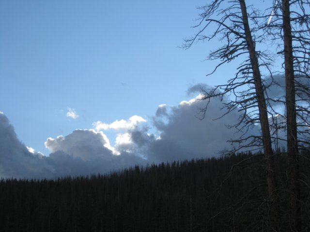 img_7887.jpg