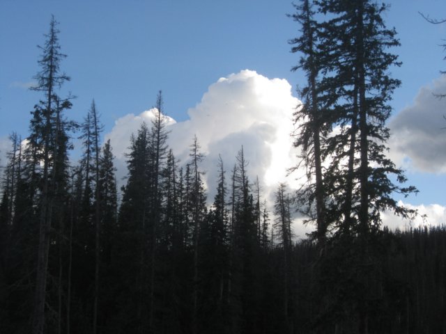 img_7889.jpg