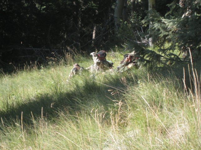 img_7913.jpg