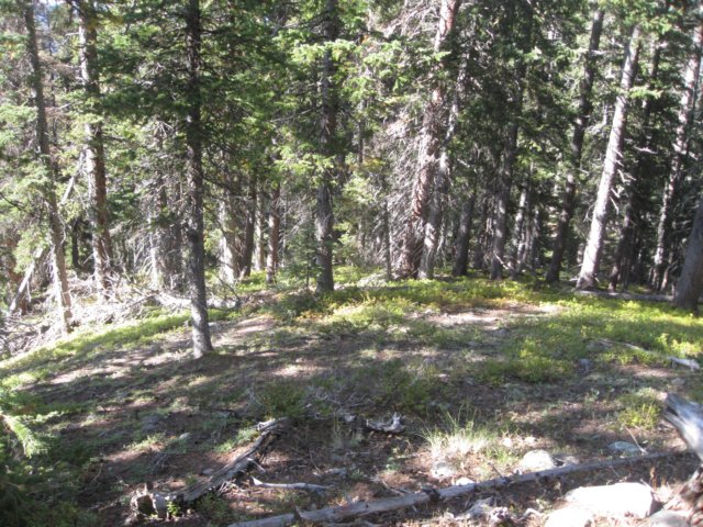 img_7916.jpg