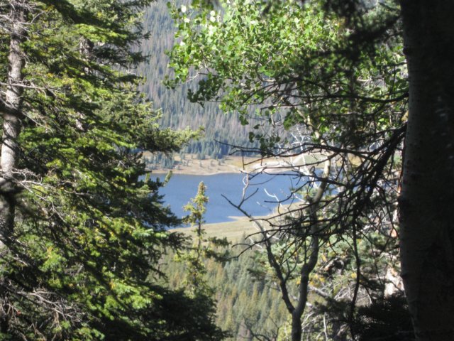 img_7917.jpg