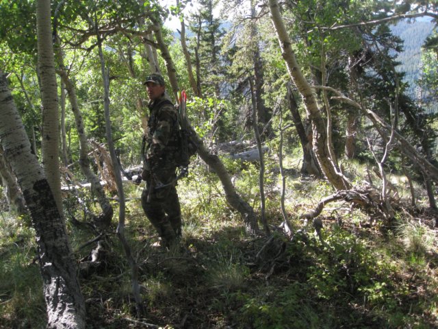 img_7920.jpg