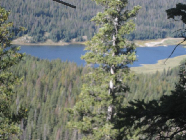 img_7921.jpg