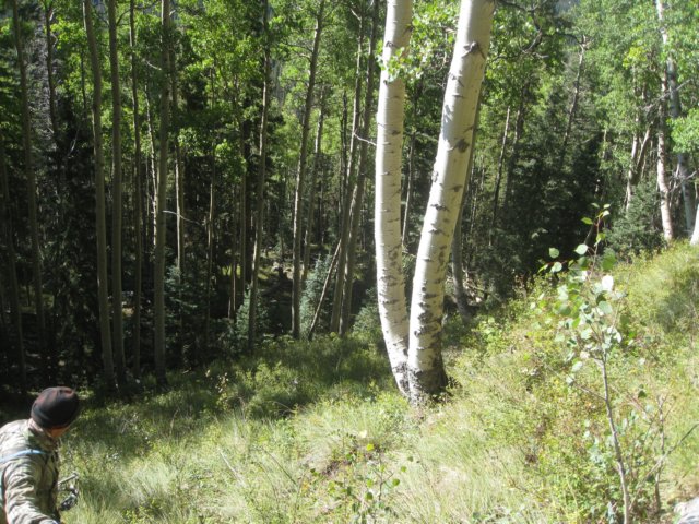 img_7926.jpg