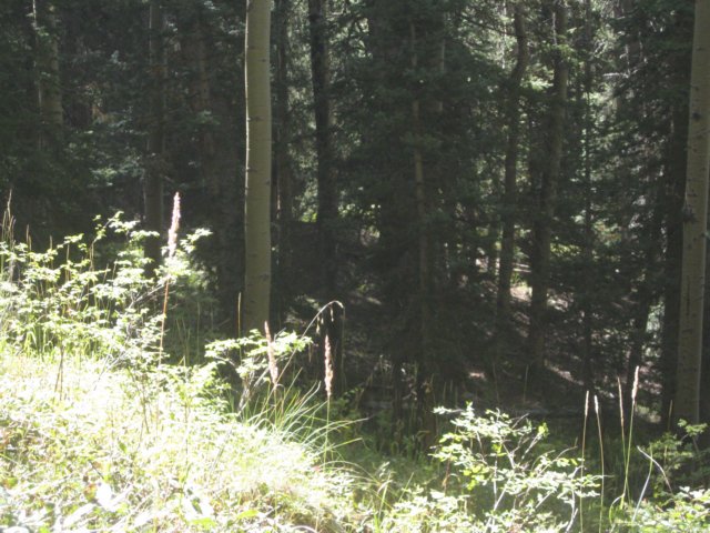 img_7931.jpg