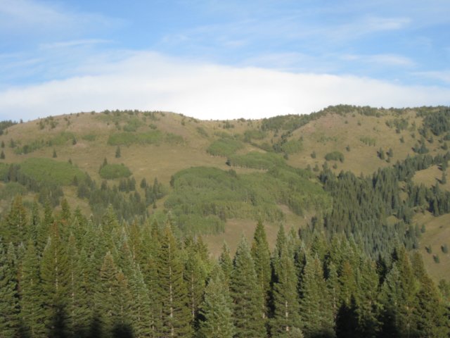 img_7955.jpg