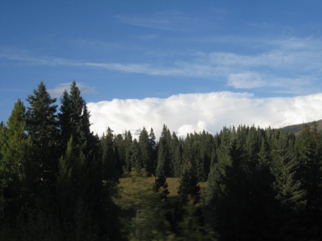 img_7958.jpg