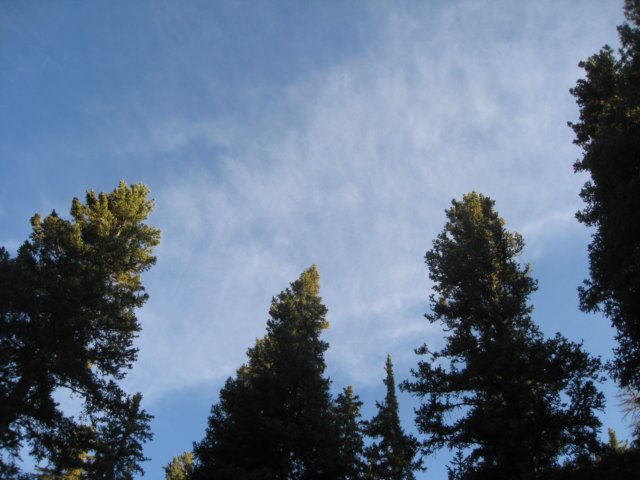img_7964.jpg