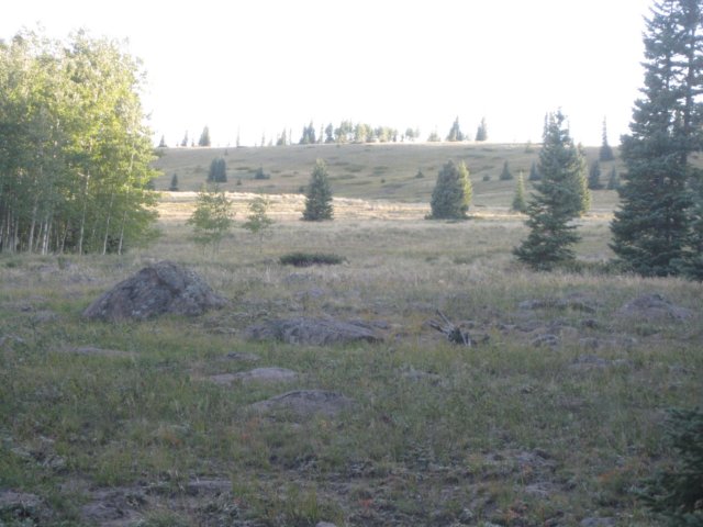 img_7965.jpg