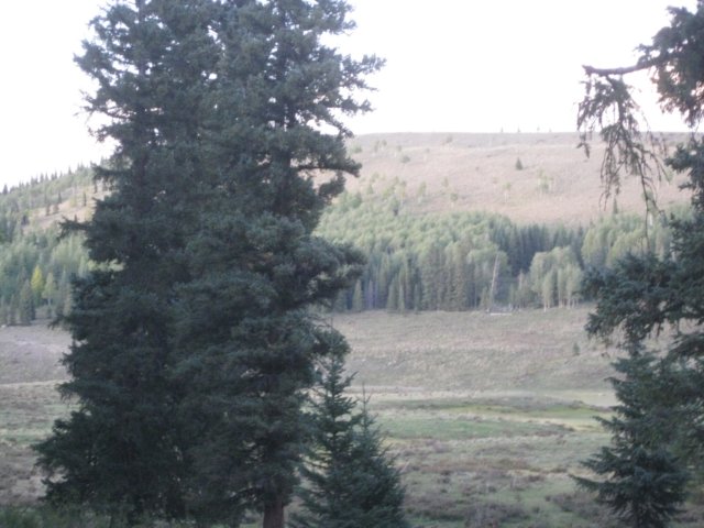img_7977.jpg