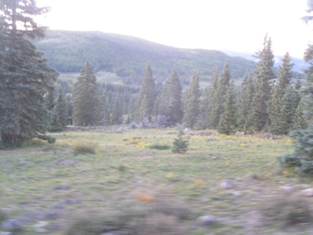 img_7980.jpg