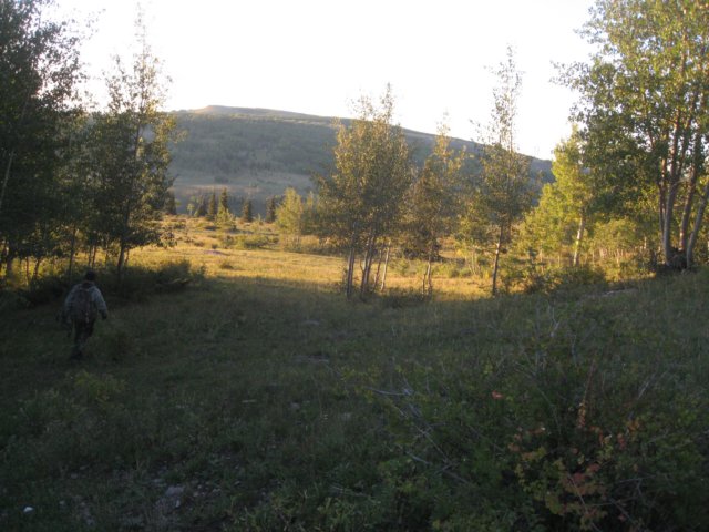 img_7988.jpg