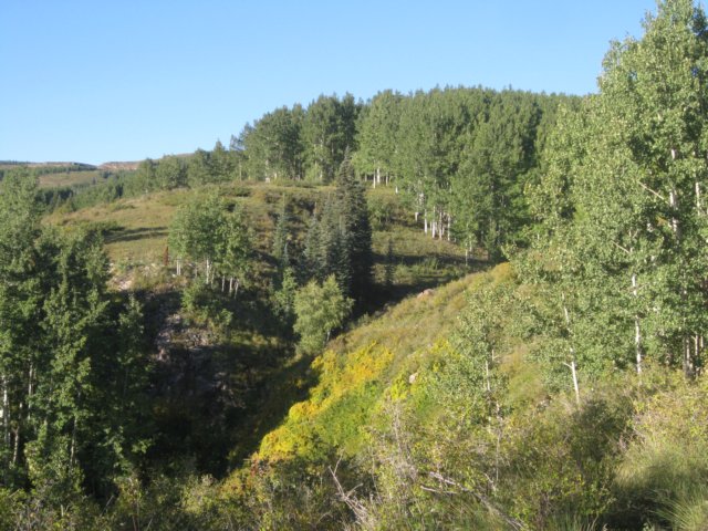 img_7994.jpg