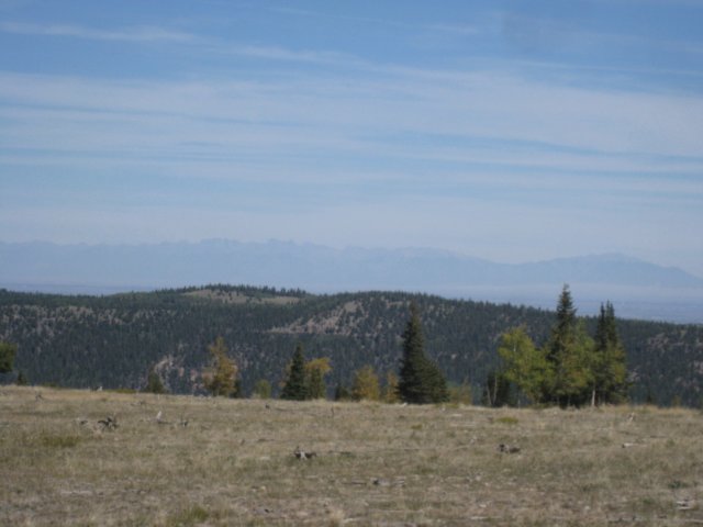 img_8013.jpg