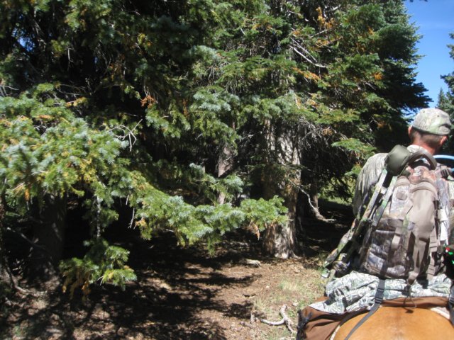 img_8027.jpg