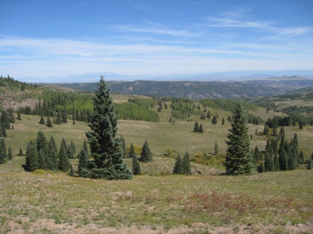 img_8029.jpg