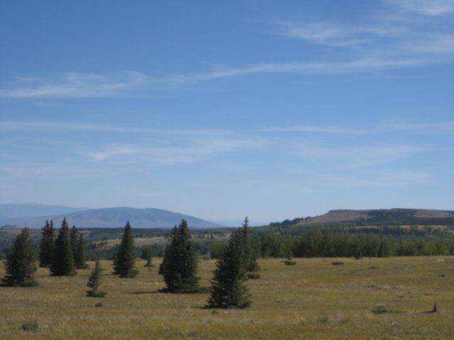 img_8034.jpg