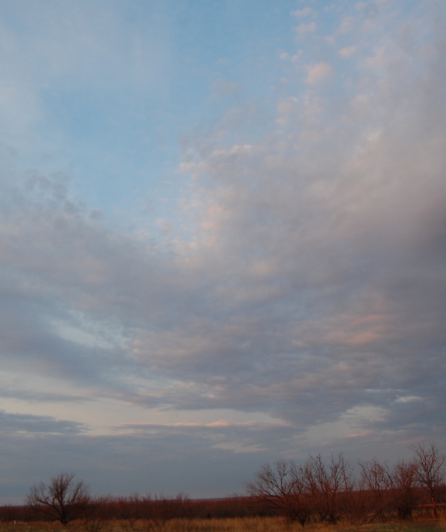 DSC_1450